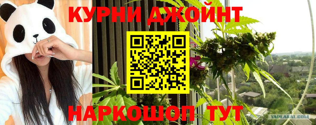 Бошки Шишки конопля  Каннабис сатива  Конопля семена  Вход с VPN  Муравленко 